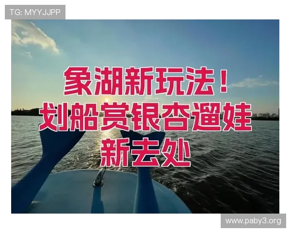 全面解析“780娱乐”平台的最新玩法与精彩内容